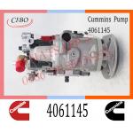 Diesel Engine Parts Fuel Injection Pump 4061145 4061206 4061228  For Cummins NTA855