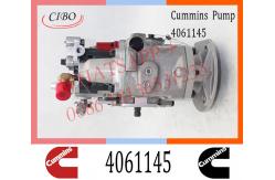 China Diesel Engine Parts Fuel Injection Pump 4061145 4061206 4061228  For Cummins NTA855 supplier