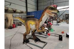China Adult Theme Park Realistic Dinosaur Robot Animatronic Velociraptor supplier