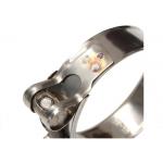Agricultural Sector Zinc Plated SS310 T Bolt Hose Clamp