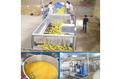 China 5 - 50T/H Fresh Mango Pulp Plant Automatic Separation Juice Processing supplier