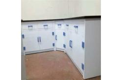 China Acceptable OEM/ODM Chemistry Lab Furniture - Safety and Customizable supplier