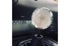 China 70mm Crystal Resin Shift Knob Real Flowers Dandelion Shift Knob supplier