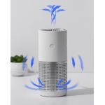 True HEPA Negative Ion Air Purifier H12 Filter Mini Portable Office Car for sale