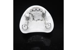 China Printed Scheftner Metal Partial Denture Framework Accurate Customized Cast Partial Denture supplier