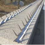 Single Razor Anti Burglar Fence Spikes for sale