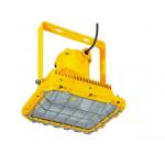 High Lumen 90lm/W Explosion Proof Lamp 30W-70W