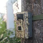 Batteries Operated Digital Wildlife Camera Infrared Animal Trail Video Surveillance Non Wireless for sale