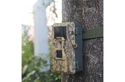 China Hunting Digital Wildlife Camera , Infrared Hunting Camera That Camera Trap supplier