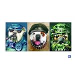 PET / PP Animal Print Lenticular Posters For Home Decoration SGS for sale