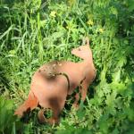 Corten Steel Yard Metal Embellishments Opossum Shape Easy To Install