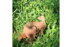 China Corten Steel Yard Metal Embellishments Opossum Shape Easy To Install supplier