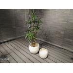 Frost and Fire Resistant Fiber Clay Planter with Smooth Surface for sale