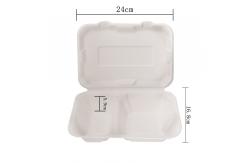 China Customized Burger Box Biodegradable 2-Room Disposable Sugarcane Lunch Box Takeout Burger Box supplier