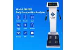 China Electronic Height Weight Fat and BMI Health Scale and Fat Analysis supplier