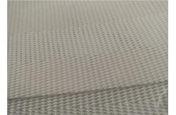 China Acid Resistant Monofilament Polyester Mesh For Belt Press Dewatering supplier