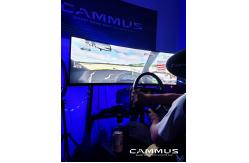 China Racing Car Gaming Driving Simulator with Wheel And Pedals Sim Stand supplier