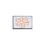 C116NWR4-0 11.6 inch 1366*768 IPS LCD Screen Display for sale