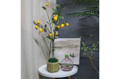 China Lifelike 100cm Artificial Fruit Tree Indoor Potted Lemon Green Yellow Plant supplier
