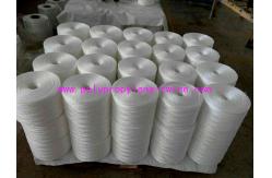 China Horticulture Vegetable Fruit Plastic Polypropylene Twine Tying Bundling Rope supplier