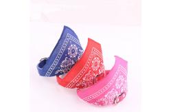 China Collar Triangle ABS 100g Odm Design Cat Scarf supplier