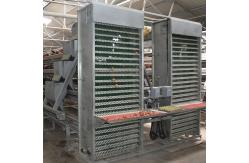 China 4m/Min Poultry Egg Collection System supplier