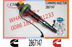 China Fuel Injector Assembly Y431K05417 F00L0J019 4964172 2867147 2882077 For Qsk19 Engine supplier