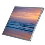 M150GNN2 R0 15 Inch LCD Panel 1024X768 500cd/M2 LVDS Input 60HZ LCD Screen for sale
