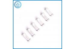 China SMD Chip 1025 Ceramic 300v Fast Acting Surface Mount Fuses UL 5A 500V supplier