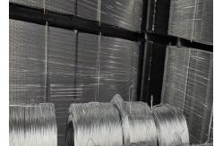 China Electro Welded Galvanized Bird Cage Welded Iron Wire Mesh Multifunctional supplier