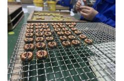 China Toroidal Common Mode Choke Customized SMPS PCB PFC inductor supplier