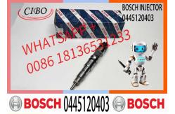 China High Quality Diesel Engine Fuel Common Rail Injector 0445120399 0445120400 0445120403 supplier