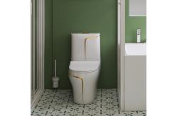 China 3D Model Siphonic One Piece Toilet supplier