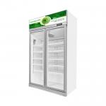 Commercial Double Door Economy Refrigerated Beverage Display Freezer for sale