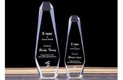 China Glass Crystal Trophy Cup Awards Cup Customized Size With Sandblasting Logo supplier