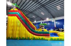 China ODM Jumping Bounce House Inflatable Water Slide With Pool supplier