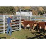 Oval Pipe Portable Horse Corral Panels Easily Assembled for sale