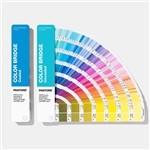 Solid Coated / Uncoated Paper Paint Color Cards 2019 Pantone GP6102A Color Bridge Guide Set for sale