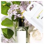 Perfume Oil Fragrance Original Oil Perfume For Body Spray Long Lasting Perfume for sale
