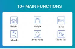 China Coins Balance Gym Height and Weight Weighing Scale Full Body Composition Scale supplier