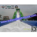 Giant Inflatable Water Slide For Adult , Hippo Inflatable Slide In Amusement Park