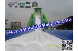 China Giant Inflatable Water Slide For Adult , Hippo Inflatable Slide In Amusement Park supplier