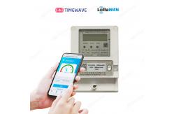 China LoRaWAN Wireless Single Phase Multifunction Meter IoT Digital Electric Power Meter supplier