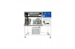 China Medical Lab Biological Anaerobic Incubator 13L Temperature Control supplier