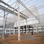 Prefabricated Steel Structure Storage Warehouse Large Span Metal Frame Buildings