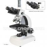 Sliding / Seidentopf Binocular Biological Microscope  with 6V 20W Halogen Lamp A11.0303 for sale