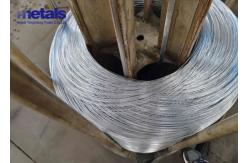 China Zinc Hot Dipped Electro Plated Galvanized Iron Wire 12 Gauge supplier