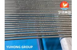 China ASTM A213 A269 TP316L Austenitic Seamless Bright Annealed Tube supplier
