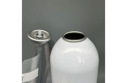 China Eco Friendly Bag On Valve Technology For Efficient Aerosol And Packaging supplier