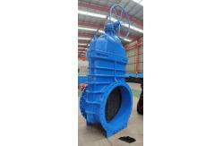 China General Standard Cast Iron Gate Valve for Customized Service Needs supplier